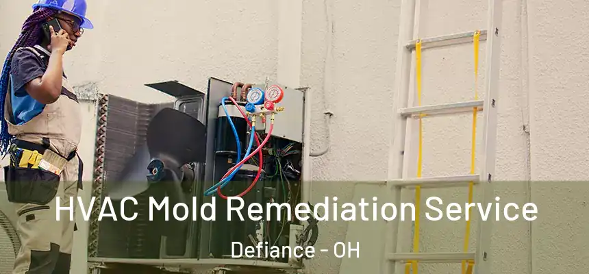  HVAC Mold Remediation Service Defiance - OH