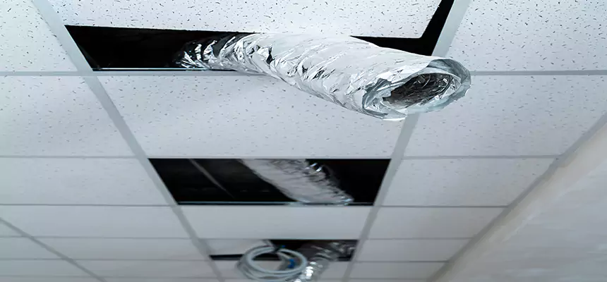 Affordable HVAC Sanitizing After Pest Removal in Defiance