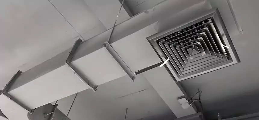 Restorative Allergy Relief Vent Cleaning – Coil, Blower & Housing Detail in Defiance