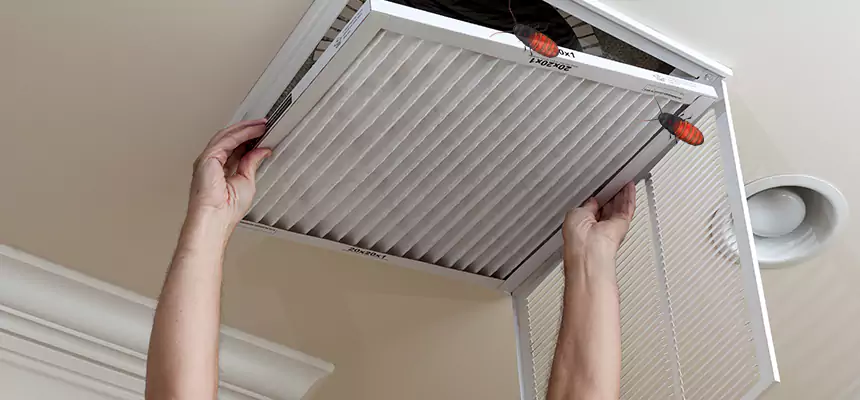 Our Insect Removal from Air Ducts Services in Defiance, OH