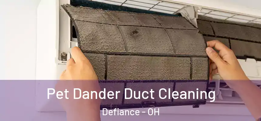  Pet Dander Duct Cleaning Defiance - OH