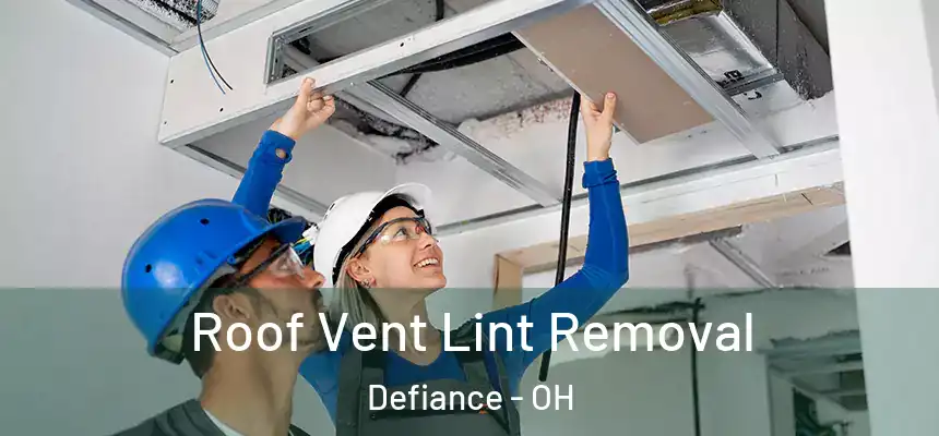  Roof Vent Lint Removal Defiance - OH
